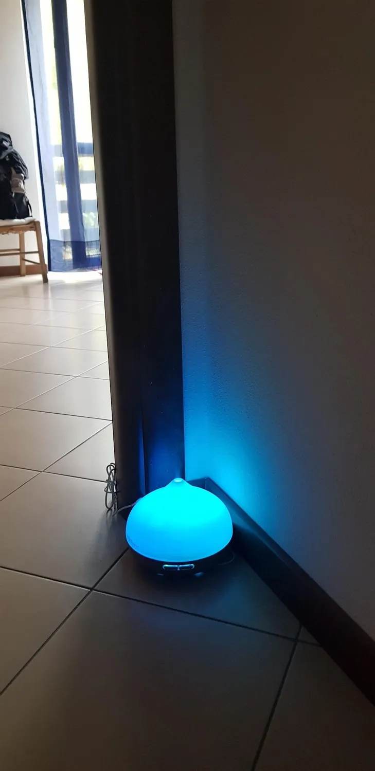 The Body Source Diffusore Aromi Ultrasuoni 300ml 7 LED