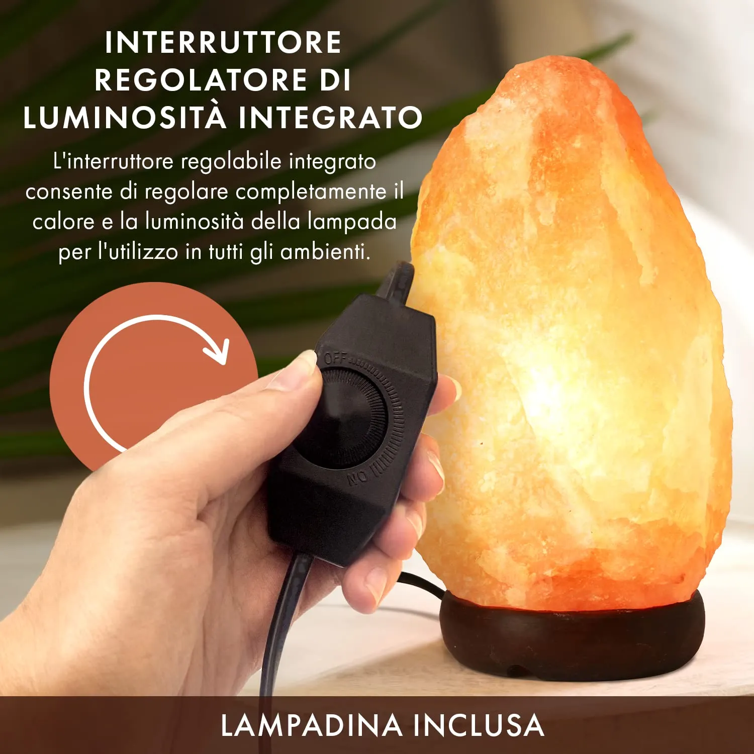 The Body Source Lampada Sale Himalayano M 3-5 kg Dimmer