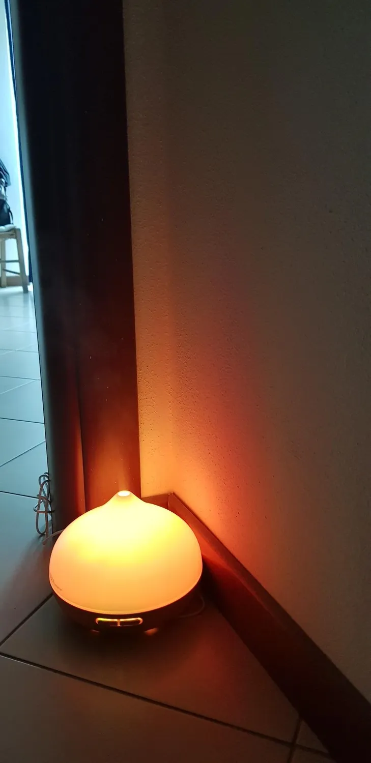 The Body Source Diffusore Aromi Ultrasuoni 300ml 7 LED