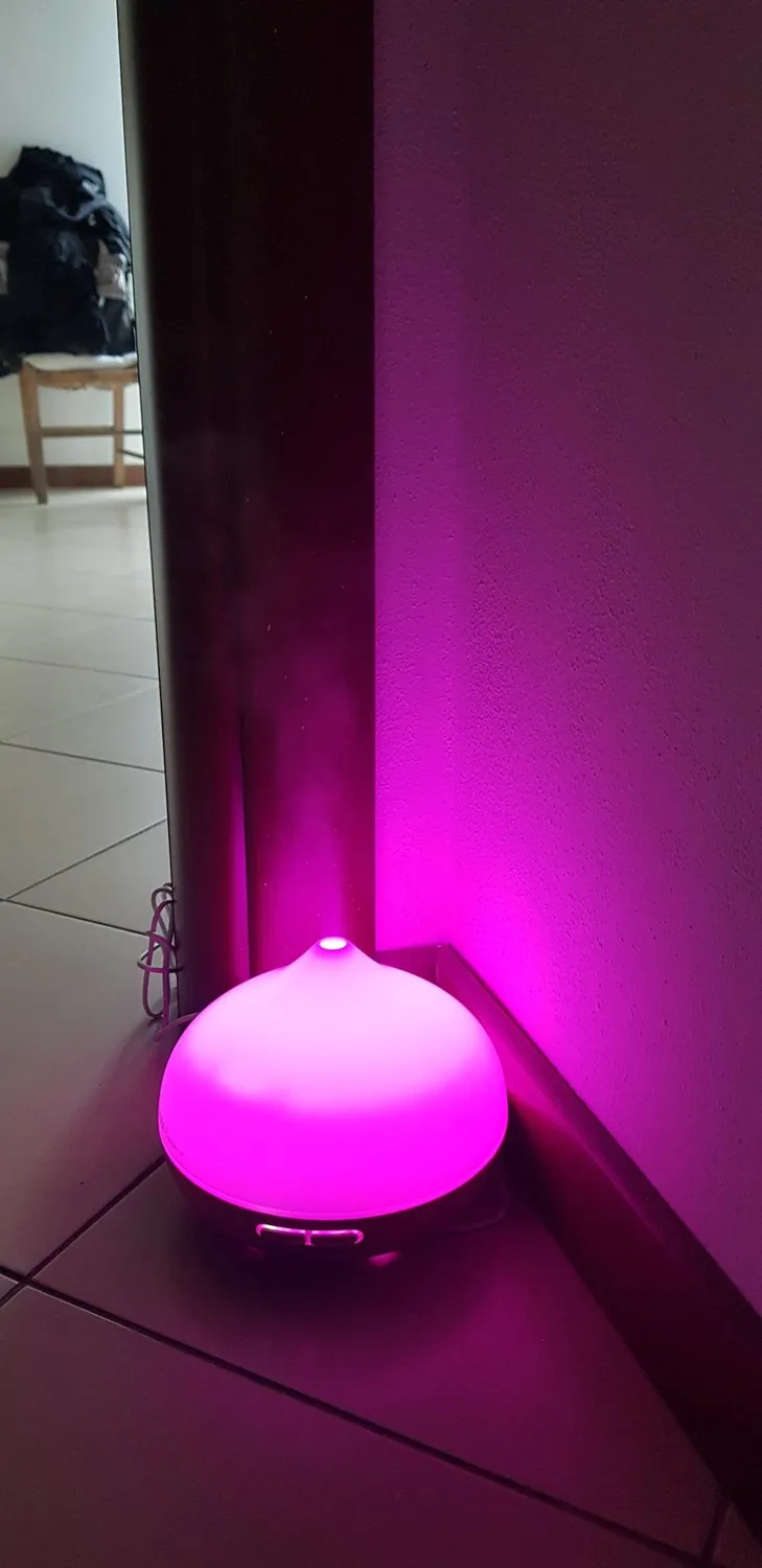 The Body Source Diffusore Aromi Ultrasuoni 300ml 7 LED